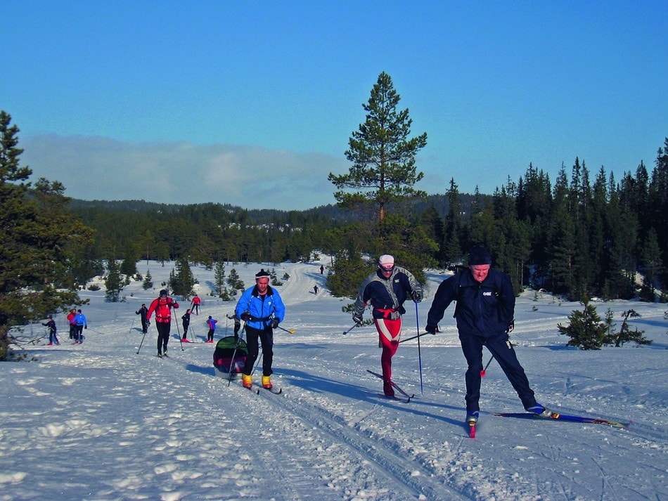 Bymarka byr også på hytte til hyttetur. Her ved løypekrysset med spor til Smistad, Granåsen, Rønningen og Skogly.