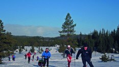 Bymarka byr også på hytte til hyttetur. Her ved løypekrysset med spor til Smistad, Granåsen, Rønningen og Skogly.