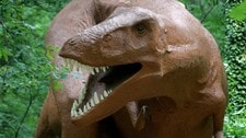 En dinosaur-park nær byen Bautzen i Tyskland. (Foto: NORBERT MILLAUER/AFP) En dinosaur-park nær byen Bautzen i Tyskland. (Foto: NORBERT MILLAUER/AFP)