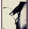 Andy Warhol: «Sex Parts» (1977). Polacolor 2-film.