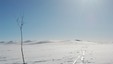 Hardangervidda på langs på ski