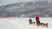 Her jakter de teten (Foto: Knut-Sverre Horn)
