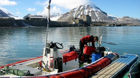 Svalbard (Foto: Picasa 2.0/NRK) Svalbard (Foto: Picasa 2.0/NRK)
