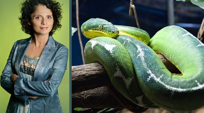Nadia Hasnaoui og boaslange (Foto: NRK/Scanpix/AP)