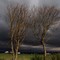 Sammen mot stormen, kaller fotograf Neil Friestad bildet sitt. 3. mai 2011 var det kraftig uvær på vei mot Jæren. Her fra Nærland like før uværet inntraff.