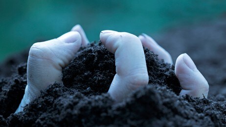 Gropen (Foto: Colorbox/Colorbox) Gropen (Foto: Colorbox/Colorbox)