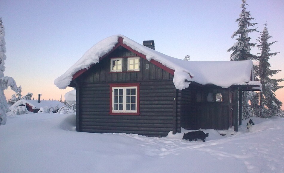 Vinter ved Selsli