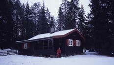 Råbjørnhytta