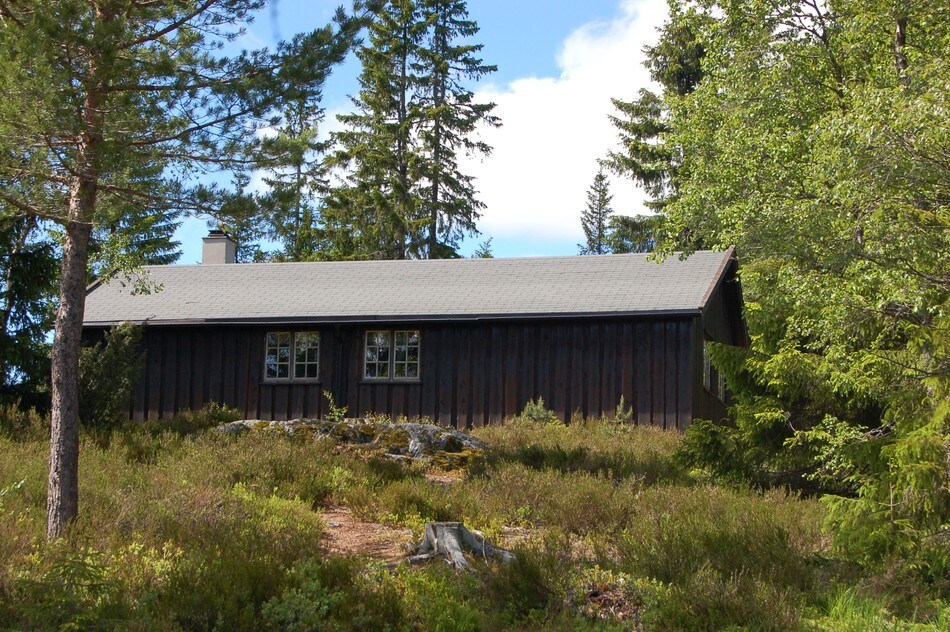 Skarsvassbu