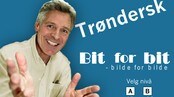 Trøndersk Bit for bit