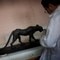 En ansatt ved Det egyptiske museet i Kairo reparerer en gjenstand som ble ødelagt under urolighetene. En ansatt ved Det egyptiske museet i Kairo reparerer en gjenstand som ble ødelagt under urolighetene.