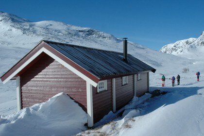 Yksendalsbu