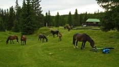 Sørseter, Foto Skiforeningen