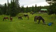 Sørseter, Foto Skiforeningen