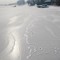Båter står fast i isen etter iskulden.Transport som vanligvis går gjennom Donau er fullstendig stoppet opp.