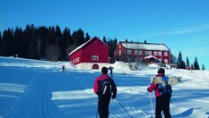 På ski til rønningen
