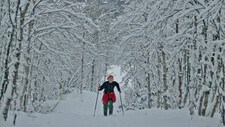 Fra Øverbygd (Foto: Anita Hilstad)