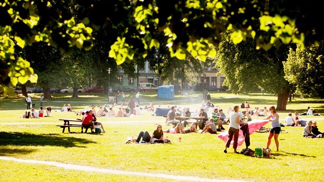 Sofienbergparken (Foto: Solum, Stian Lysberg/SCANPIX) Sofienbergparken (Foto: Solum, Stian Lysberg/SCANPIX)