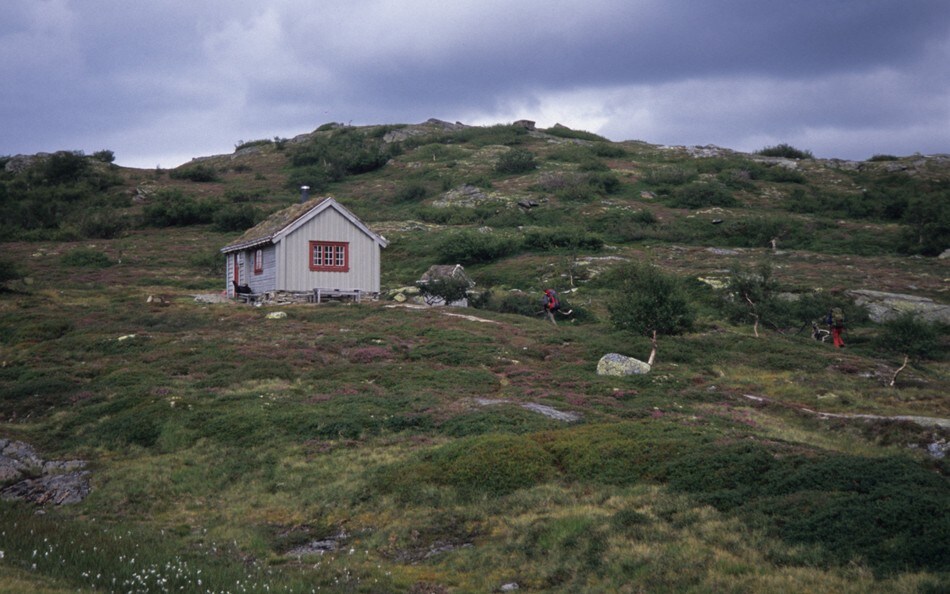 Mosdalsbu