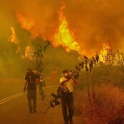 På flukt fra skogbrannen i Hellas (Foto: ARIS MESSINIS/AFP) På flukt fra skogbrannen i Hellas (Foto: ARIS MESSINIS/AFP)