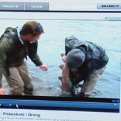 Skjerdump Glimt av Norge, fiskeskole Grong (NRK)