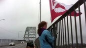 Må ta ned FFK-vimpler - Fredrikstad supportere ble nødt til å ta ned vimplene som ble hengt opp fredag morgen.