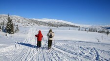 Fantastisk vinterføre i Norge (Foto: Bente Haarstad/Colourbox)