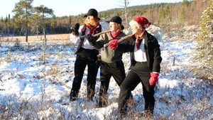 En naturlig helaften 18.12.2012
