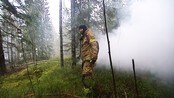 Øvelse skogbrann - Hva vil skje om flammer for alvor tar overhånd i nordmarka - tett på folk og hus? Det har brannvesenet spurt seg om mange ganger, og i dag startet årets store brannøvelse, ved Ørfiske i Nittedal.
