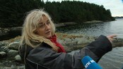 Nytt funn på Avaldsnes - Kongsgårdens havn på Avaldsnes er funnet. Oppdagelsen ble gjort nærmest ved en tilfeldighet sent i høst, og gir et helt nytt bilde av hvordan Avaldsnes så ut mot slutten av vikingtiden.
