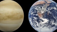 Terra Terra