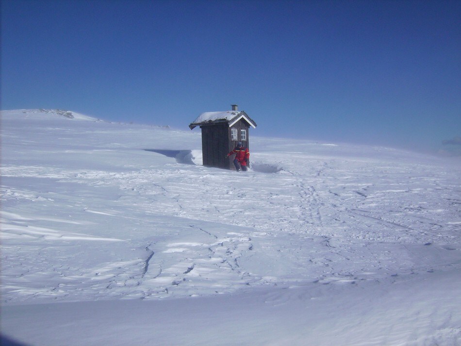 Storkvelvbu
