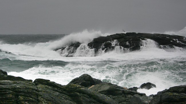 Storm (Foto: Mari Rollag Evensen/NRK)