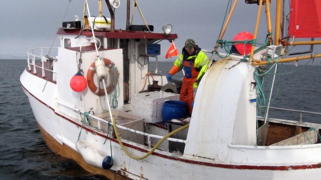 Sjarken 'Jim Håvard' på Varangerfjorden (Foto: Thor Werner Thrane/NRK) Sjarken 'Jim Håvard' på Varangerfjorden (Foto: Thor Werner Thrane/NRK)