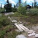 Selsli