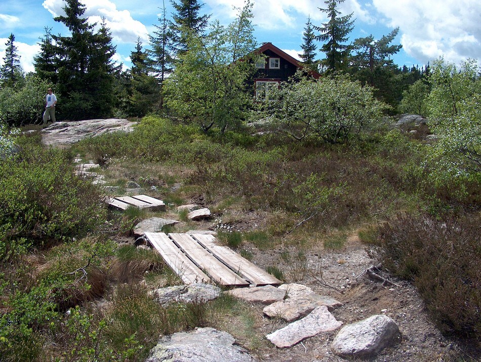 Selsli