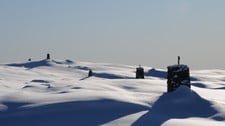 Varder over vidden (Foto: Torill Refsdal AAse)