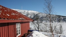 Bjørnevasshytta