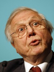 Sir David Attenborough (Foto: ROBERT VOS/AFP) Sir David Attenborough (Foto: ROBERT VOS/AFP)
