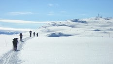 På ski i Skarveheimen