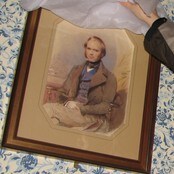 Den unge Charles Darwin (Foto: Ivar Grydeland/NRK) Den unge Charles Darwin (Foto: Ivar Grydeland/NRK)