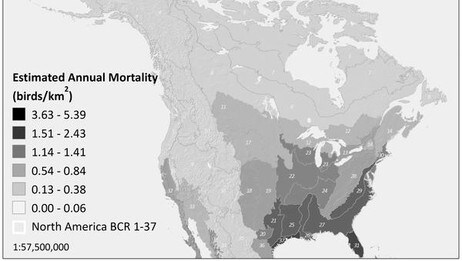 Fugledød i Nord-Amerika (Foto: Longcore et al. PLoS One; doi/10.1371/journal.pone.0034025.g006) Fugledød i Nord-Amerika (Foto: Longcore et al. PLoS One; doi/10.1371/journal.pone.0034025.g006)