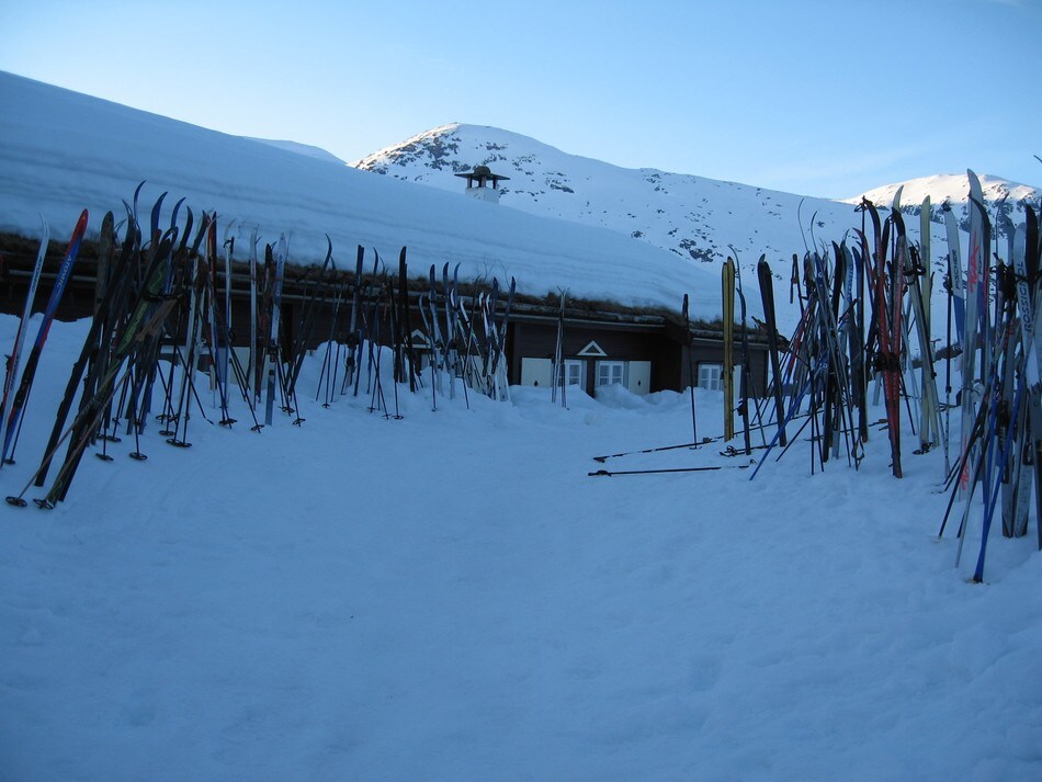 Skogadalsbøen