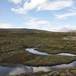 Stille bekk i Forollhogna
