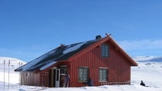 Svartenut