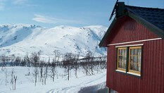 Fellvasstua