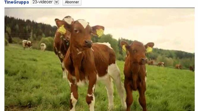 Reklamefilm tinne (Foto: Faksimile fra Tines reklamefilm på YouTube)