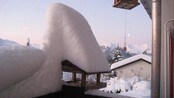 Nye sunnmørsalpar i Volda?