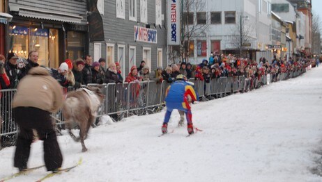 Egil Olli og Pål Julius Skogholt kappkjører med rein (Foto: Rune Nordgård Andreassen/NRK) Egil Olli og Pål Julius Skogholt kappkjører med rein (Foto: Rune Nordgård Andreassen/NRK)