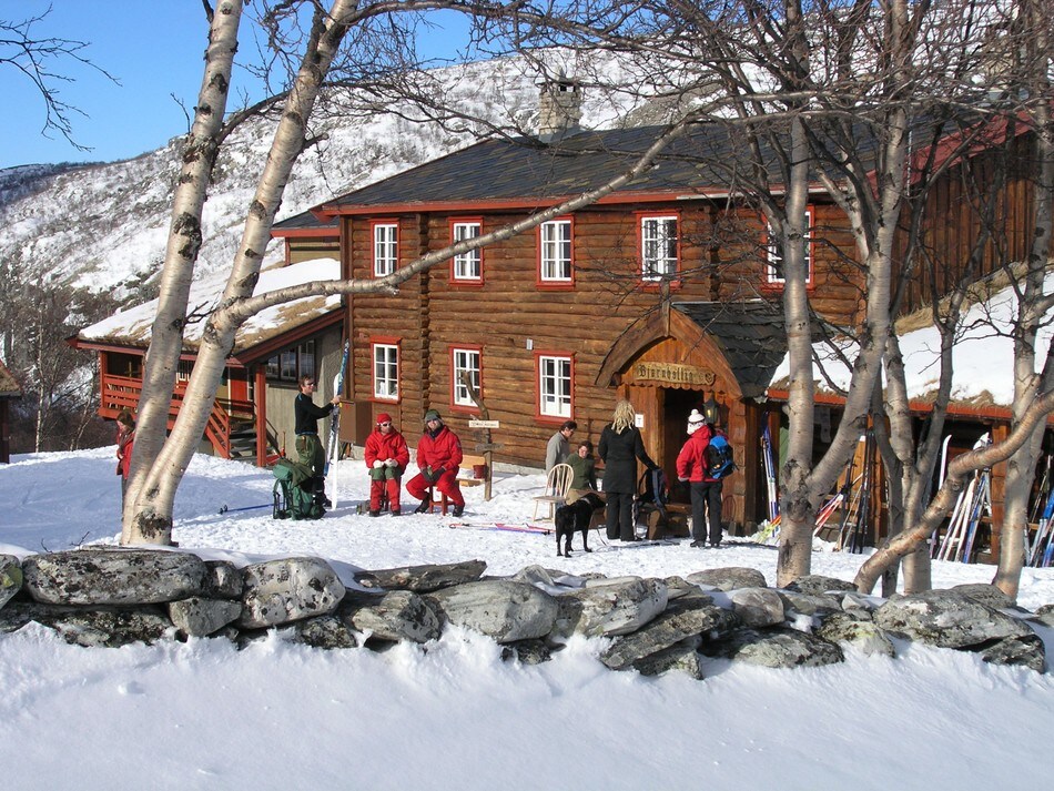 Bjørnhollia
